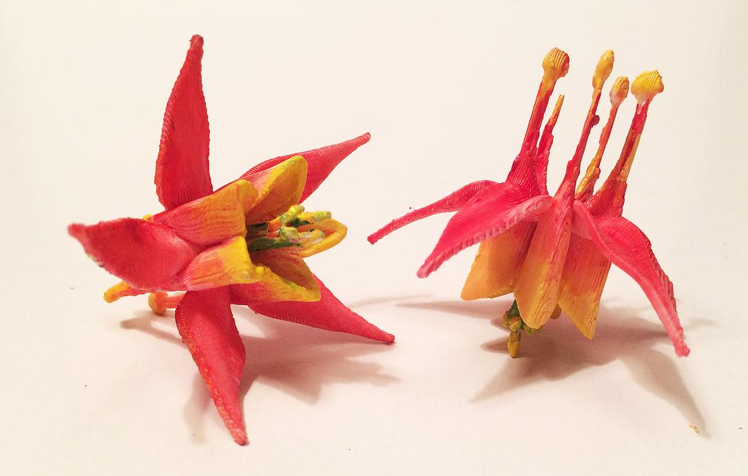 這次真的來3D列印花朵了，為了記錄消失前的美
